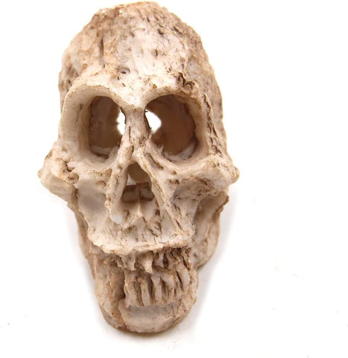 Driak 3Pcs Fish Tank Decorative Aquarium Decorations - Head Bone Skull Resin Ornament for Reptile or Fish