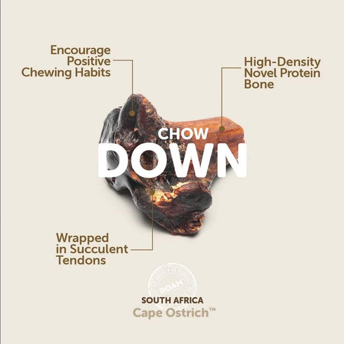 ROAM Pet Treats Large Gnaw-Kle Ostrich Knuckle Dog Chew for Medium to Large Dogs, 10.2 Ounce (Pack of 3)