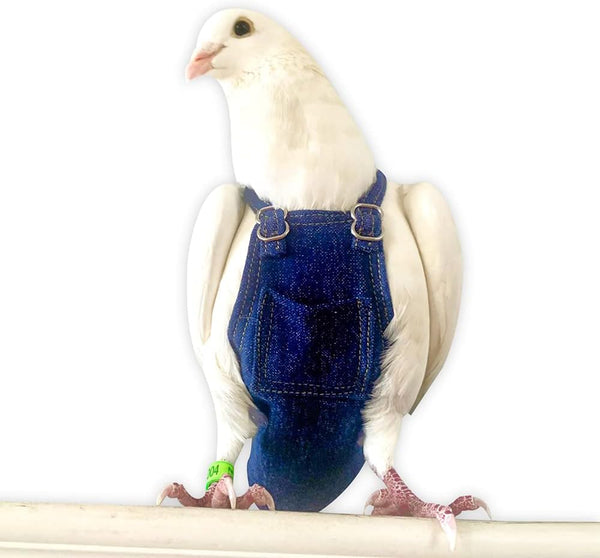 Bev's Bird Boutique Regular Flyper Adjustable Bird Diaper | Reusable, Washable Cloth