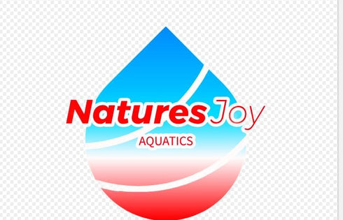 Generic 10+ Live Small Marine White-Legged Hermit Crabs Reef Safe Algae Eaters & Cleanup Crew for Saltwater Aquariums
