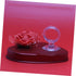 20pcs Clear Stand Aquarium Suction Cups, Clear Hose Sucker Kits for Fish Tank Divider, 1 Inch Fish Tank Sucker