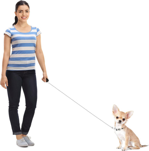 Heavy Duty Dog Leash, Metal Chain with PU Handle for Small Medium Dogs, Walking Traffic Training