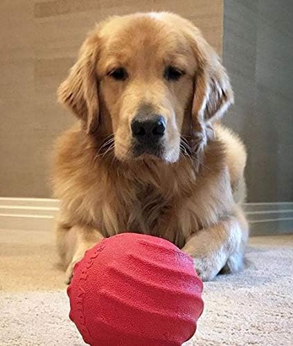 4 Inches, Jolly Pets Tuff Tosser Bouncing Ball Tog Toy/Treat Holder, Red, All Breed Sizes