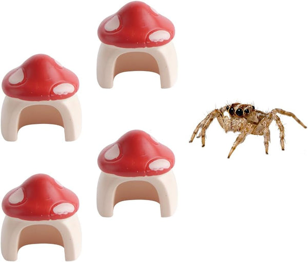 DQITJ 4 Pack Jumping Spider Mini Mushroom Decor Hermit Crab Cute Hide Decor