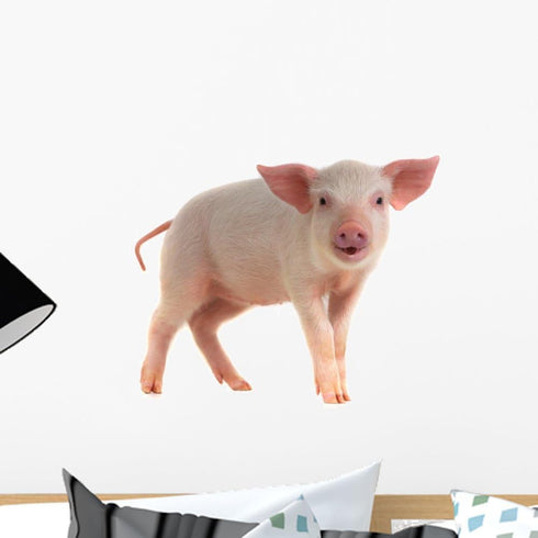 Wallmonkeys WM361309 Pig Peel and Stick Wall Decals, 18" W x 12" H, Small