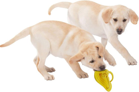 Dog Chew Rope Toy 2Pack, Funny Decoy Toy, Natural Cotton Rope Slipper Interactive Pet Chewing Toys