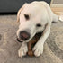 Chew King Dog Bacon Lovin’ Wishbone, Textured Nylon Bones, Bacon Flavored Chew Toy for All Breed Sizes