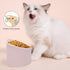 Heart Shaper Ceramic Elevated Cat Bowls, Raised Cat Bowls Anti Vomit Stress Free Water Food Feeder Microwave Safe Pet Accessories for Small Cats Dogs(Pink)