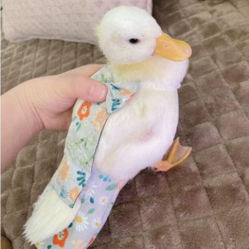 RRRIOT (2kg-2.75kg) Duck & Goose Diapers - Waterproof, Adjustable, Washable & Reusable Poultry Supplies