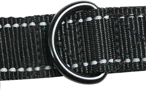 MODUS Reflective Leash for Dogs - Double-Sided Nylon Training Leash with Padded Handle, 6.6FT/15FT