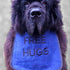 Personalized 'Free HUGS' Dog Bib for Dogs: Handmade, Waterproof Backing, Washable & Durable, Pups to Adults Sizes
