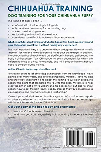 Chihuahua Training: Dog Training for your Chihuahua puppy