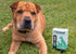 Extend Joint Care for Dogs - Hip and Joint Supplement Powder, Glucosamine for Joint Pain Relief