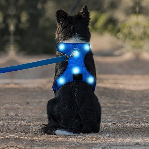 Safety LED Dog Harness - Light Up Vest, No-Pull, Rechargeable Glowing Pet Harness for Night Walking & Camping (Blue,