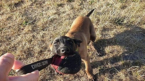Dingo Gear Dog Tug Ball, 4" for Strong Tugger, Bite Training, Fun, Red S02780
