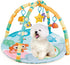 Puppy Paradise Play Gym for Interactive Playtime