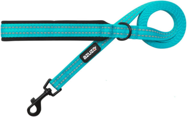 azuza Durable Padded Dog Leash, Reflective Strip for Extra Safety and Comfort for Small Dogs, Blue