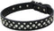 Dogs Kingdom Genuine Leather Padded Rhinestone Dog Collar, 14.5"-20" Length, Customized Crystal, Black, M