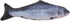 Genrico Cat-Teasing Toys Fish Tear-Teasing Cat Chew Plush Supplies Pet(Salmon)
