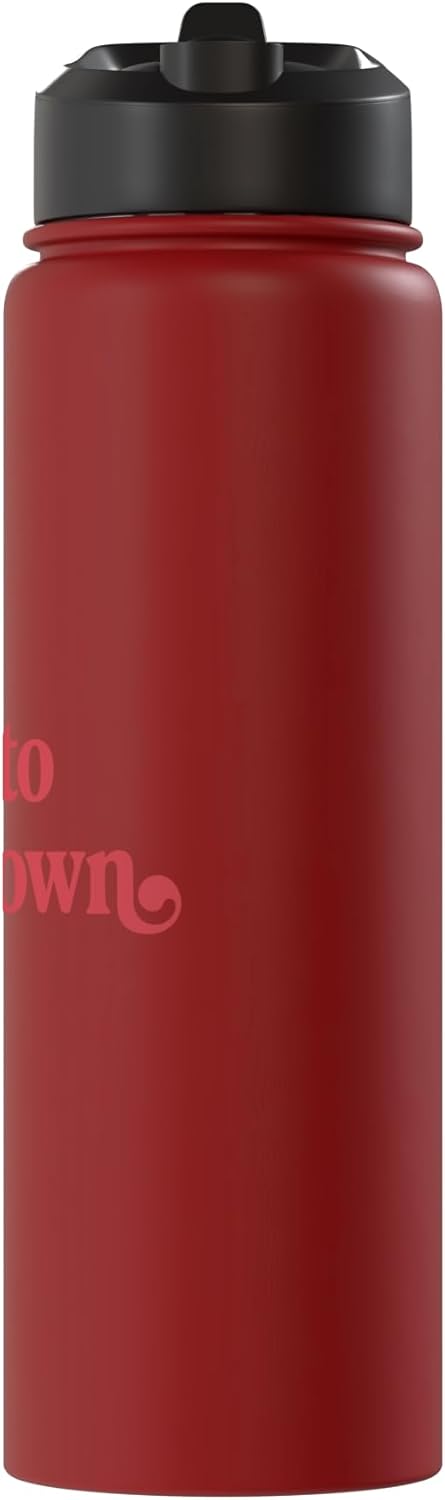Time to Wine Down Social Club Time to Wine Down Stylish Retro Quote Stainless Steel Insulated Water Bottle