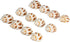 12 3/4"- 2" Hermit Crab Shells | Turbo Shells | Babylonia Aerolata Turbo Shells | Hermit Crab House for Dcor | Plus