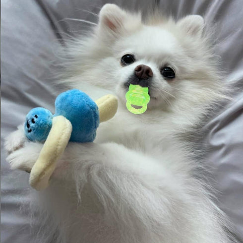 5Pcs Pet Chew Nipple Shape Toy Set, Cute Puppy Kitten Molar Pacifier for Dogs, Interactive Chew