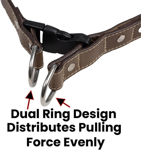 Leather Quick Release Dog Collar - Handcrafted Full Grain Leather with Stainless Steel Hardware - Stone, Medium