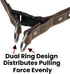 Leather Quick Release Dog Collar - Handcrafted Full Grain Leather with Stainless Steel Hardware - Stone, Medium