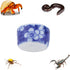 DQITJ 9 Pcs Spider Micro Ceramic Water Bowl, Hermit Crab Mini Dish for Spider Tarantula Hermit Crab Millipede Tiny
