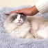 Dog Bed Cat Bed, Small Dogs Bed Doughnut Bed, Round Dog Bed, Cat Blanket, Cushion for Dogs up to 3Kg