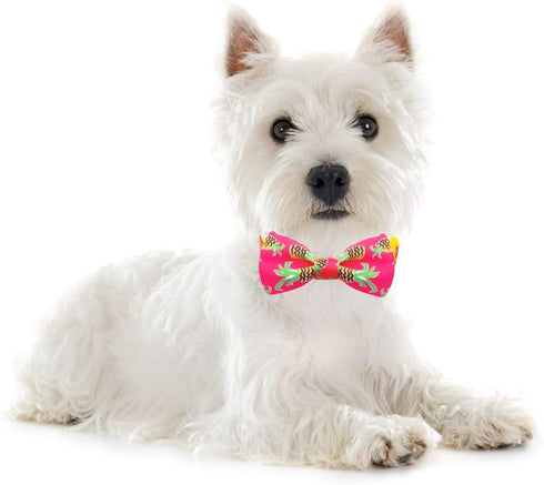 azuza Bowtie Dog Collar, Soft & Comfy with Fun Patterns for Small Dogs