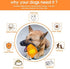 Dragon Egg Dog Chew Toys for Aggressive Chewers, Indestructible Tough Toys for Medium Large Dogs (Orange)