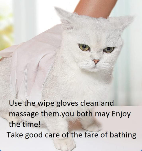 Winter Nessity for Senior Dogs: 10pcs Free Rinse Dog Wipes, Grooming Gloves and Pet Wipes with Lotion Formula