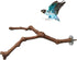 PINVNBY Parrot Perches Natural Birds Stand, Wild Grape Stick Grinding Paw Climbing Wood Accessories for Parakeet and