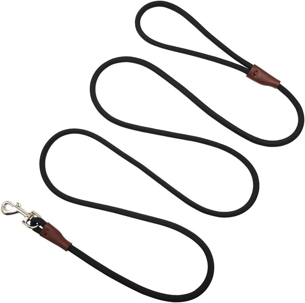 Small Dog Leash | 1/4" by 6/8/10 FT Lightweight Strong Nylon Rope | Bright Classic Leash for Small Pets