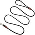 Small Dog Leash | 1/4" by 6/8/10 FT Lightweight Strong Nylon Rope | Bright Classic Leash for Small Pets