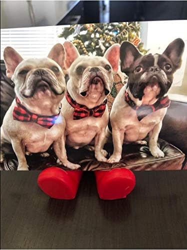 Unique Style Paws Cotton Dog Collar with Bow, Black Red Plaid for Small Medium Large Dogs