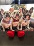 Unique Style Paws Cotton Dog Collar with Bow, Black Red Plaid for Small Medium Large Dogs