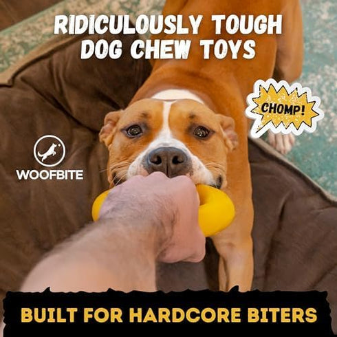 Indestructible Ring Dog Toy - Lifetime Replacement for Medium & Large Breeds, Durable for Aggressive Chewers