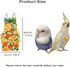 Generic Count, 6) Bird Diapers for Parrot, Cockatiels Conure Monk Parakeets Pigeon, Reusable Parrot Nappy, Bird Clothes