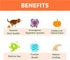 Pumpkin Treats for Dogs Digestion - Freeze Dried Pumpkin Dog Treats Topper - 2oz - Reduce Dog Diarrhea and Scotting - Natural Single Ingredient Pure Pumpkin for Dogs - Prebiotics & Fiber