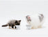 Necoichi Raised Stress Free Cat Food Bowl - Elevated, Backflow Prevention, Dishwasher/Microwave Safe, Mini