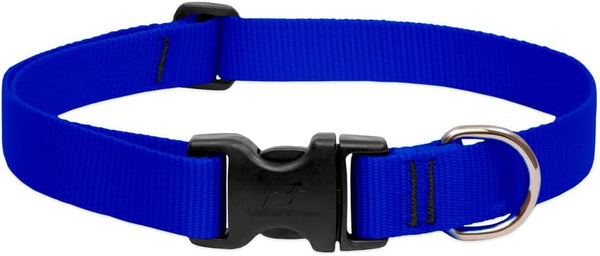 LupinePet Basics Adjustable Collar for Medium and Larger Dogs, 1" Blue, 12-20"