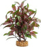 Fluval Aqualife Broad Leaf Red Ludwigia Plant, Plastic Aquarium Plant Decoration 10
