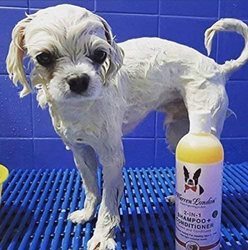 Warren London 2 in 1 Pet Shampoo and Conditioner for Dogs, Puppies, & Cats - Best for Dry Itchy Skin - Made in USA, 17oz