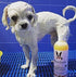 Warren London 2 in 1 Pet Shampoo and Conditioner for Dogs, Puppies, & Cats - Best for Dry Itchy Skin - Made in USA, 17oz