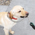 BTINESFUL 6FT Chewproof Dog Leash - Strong Nylon Rope with Anti-Chewing Chain (Dark Green) for Medium Large Dogs