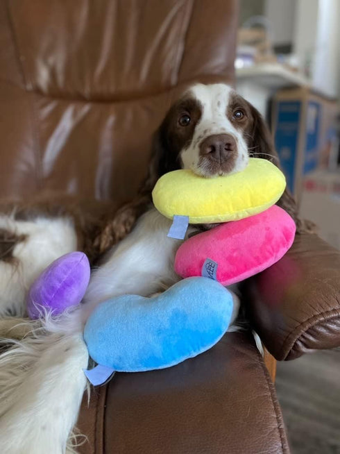 Set 4 Midlee Jelly Bean Easter Dog Toy- of (Large)