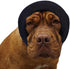 Happy Hoodie The Original Calming Band for Dogs & Cats - Anxiety Relief for Fireworks, Thunderstorms, Grooming