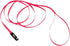 Coastal Pet Li'l Pals Dog Leash with E-Z Snap, 6' x 5/16", Neon Pink (1-Unit)